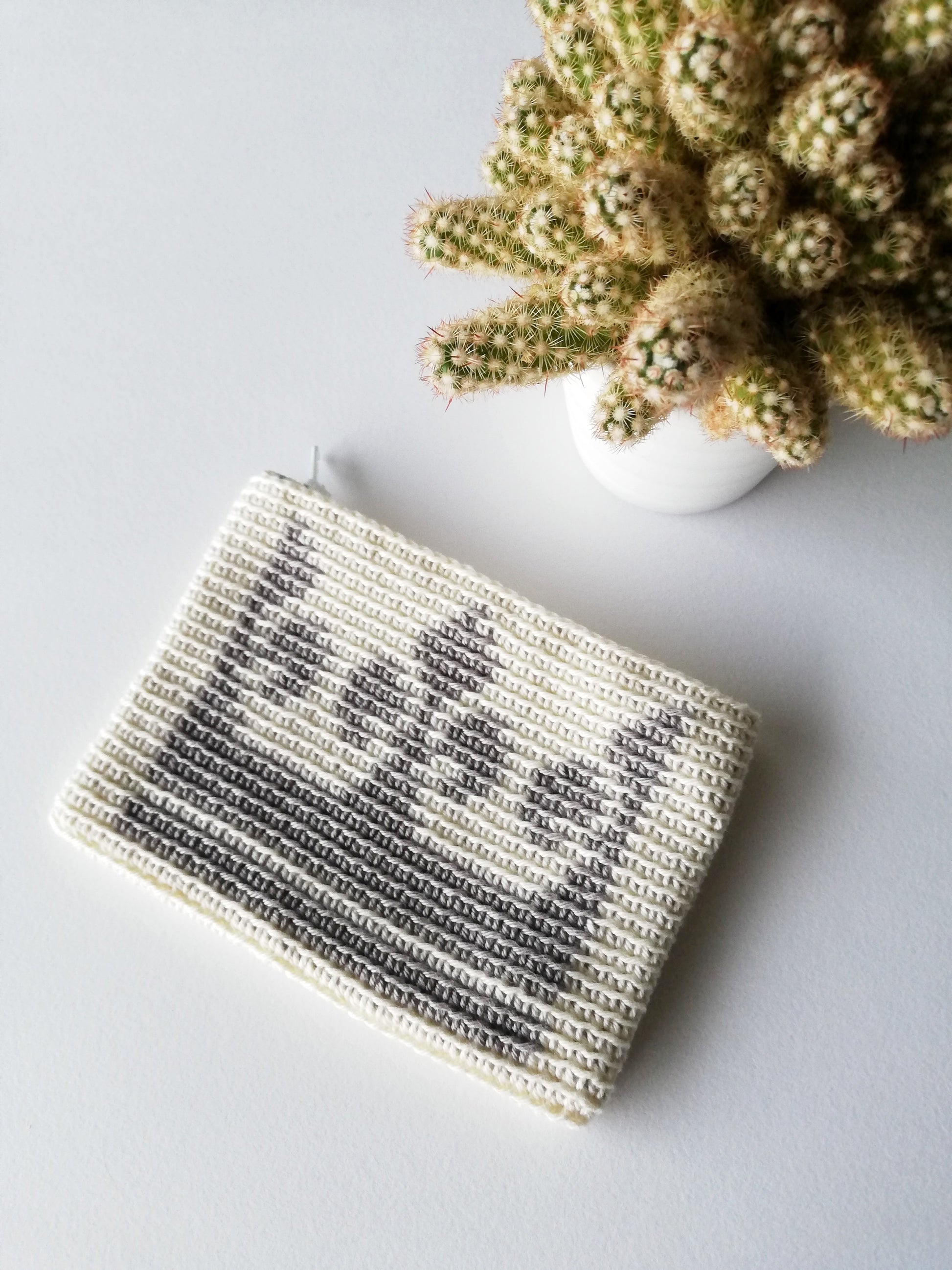 Tapestry crochet zipper pouch Crown