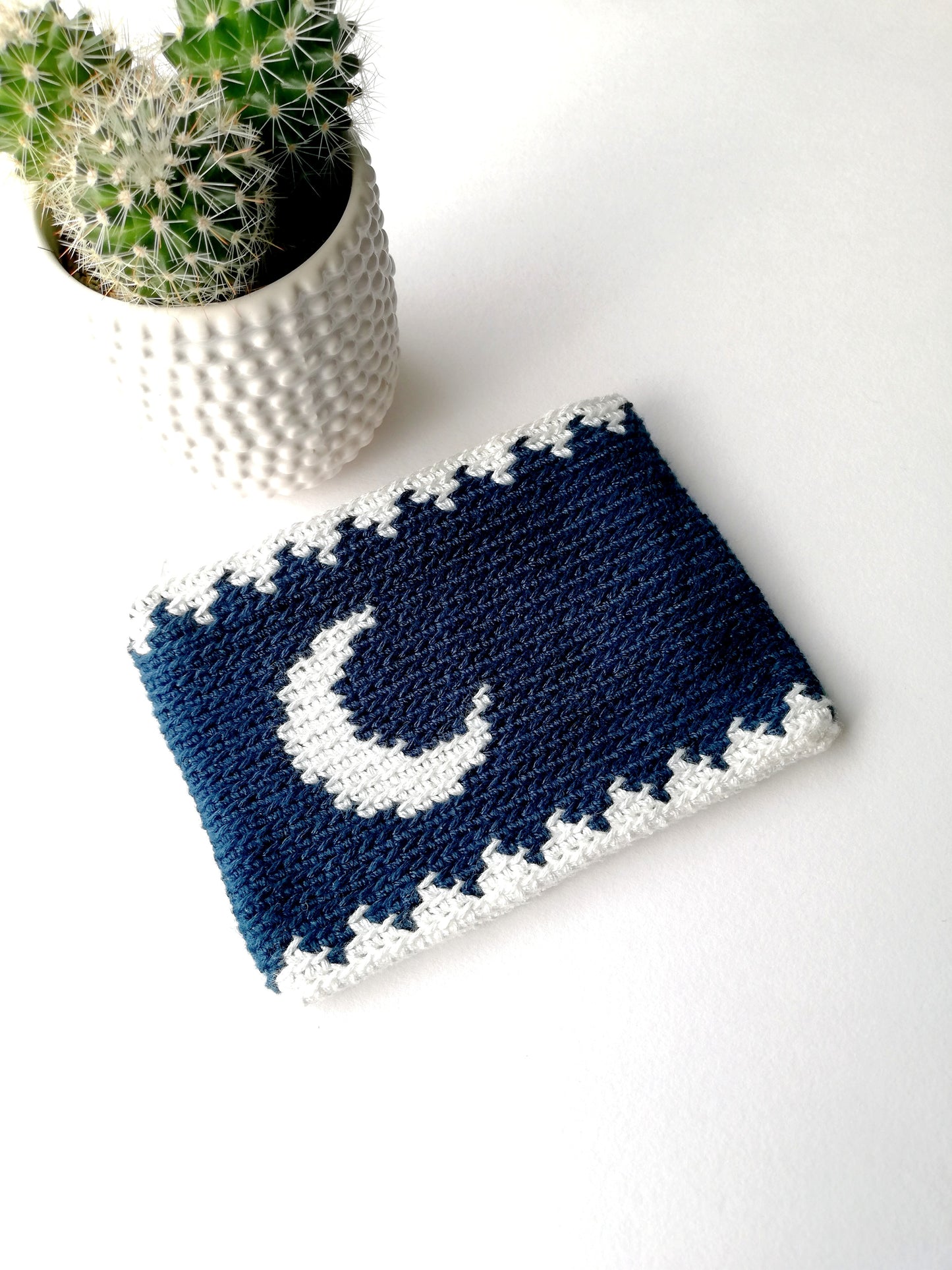 Tapestry crochet zipper pouch Moon