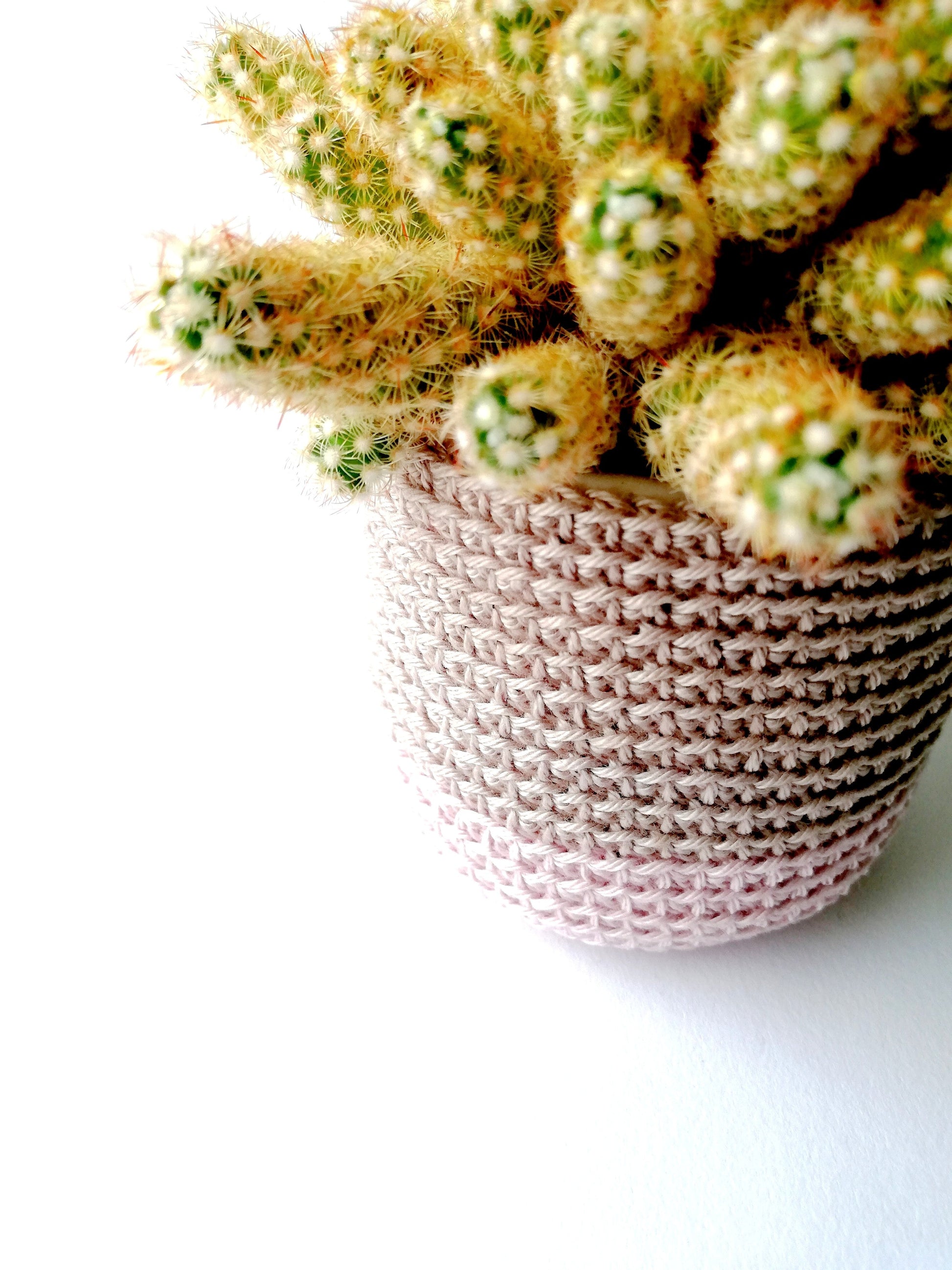 Mini plant pot cozy Molly